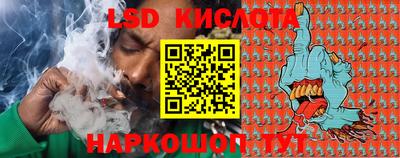 прущие крисы Кингисепп