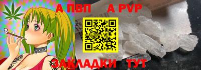 прущие крисы Кингисепп