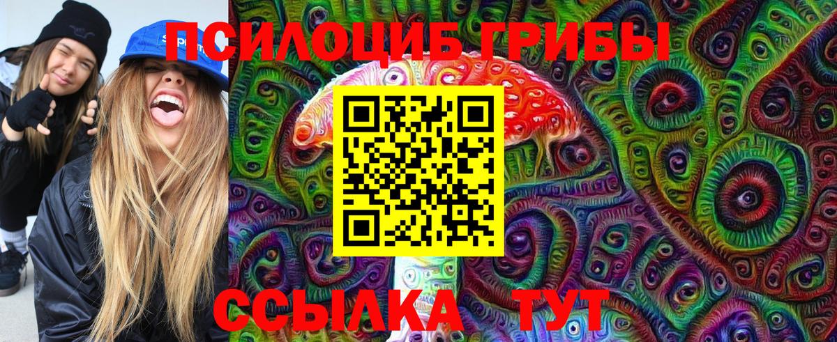 Псилоцибиновые грибы Psilocybe  Вход с VPN  Камышлов  Галлюциногенные грибы GOLDEN TEACHER 