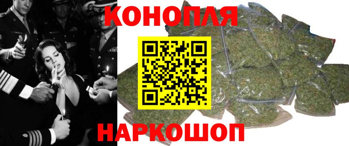 Бошки Шишки сатива Камышлов